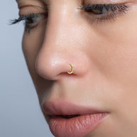 Polished Seamless Nose Ring NSKR-1035