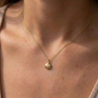 Scallop Shell Necklace SPE-3686