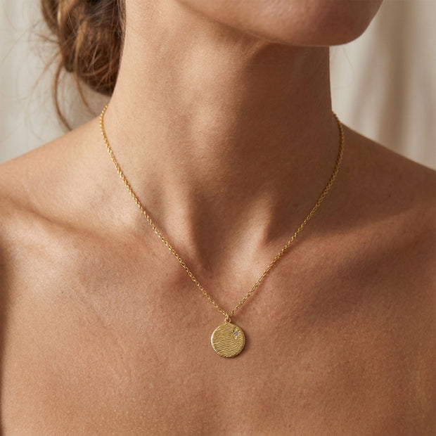 Starlight Textured Disc Necklace SPE-5244