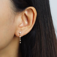 Cascading Crystal Drop Earring STS-7095