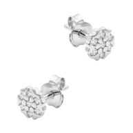 CZ Flower Cluster Stud Earring STS-7211