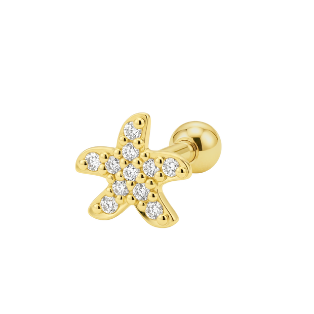 Starfish Helix Ear Piercing TIP-3697