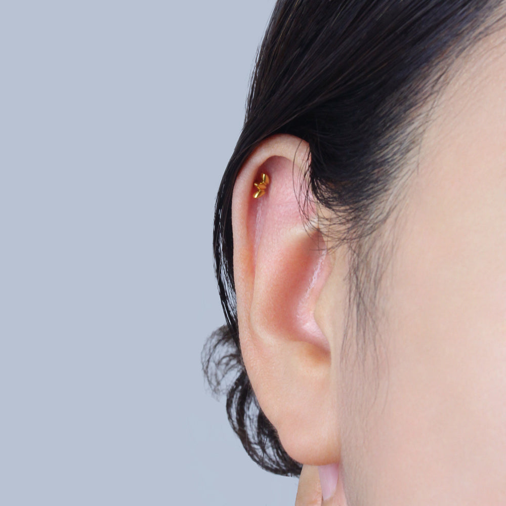 Titanium Cute Helix Ear Piercing TLBP-010