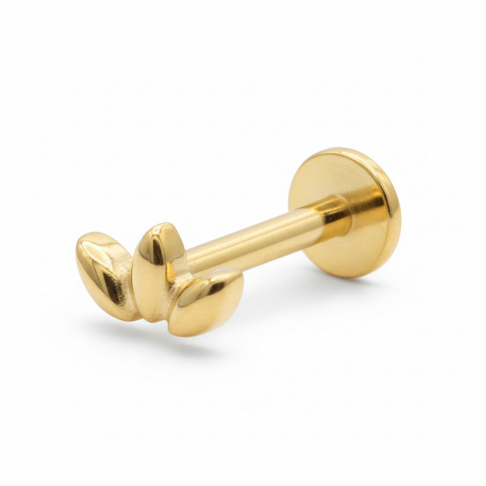 Titanium Cute Helix Ear Piercing TLBP-010
