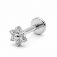 Titanium CZ Flower Helix Ear Piercing TLB-020