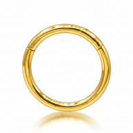 Titanium Seamless Hinged Segment Ring TNR-001