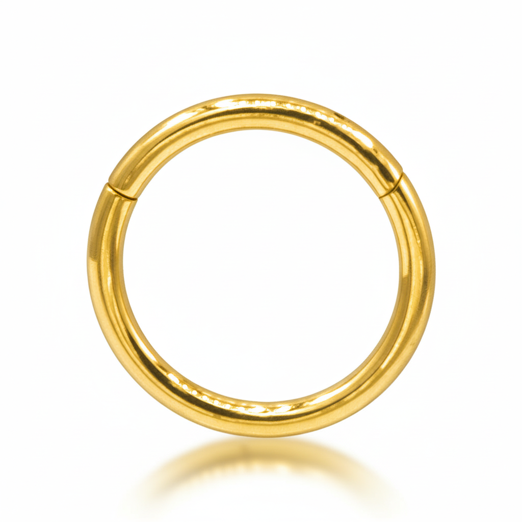 Titanium Seamless Hinged Segment Ring TNR-001