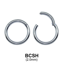 Segment Ring BCSH 2.0mm