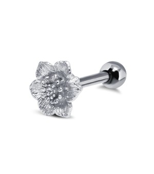 Helix Ear Piercing TIP-2511