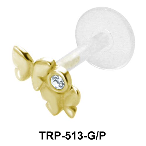stil uitzending onderwijzen Wholesale Tragus Piercing Jewelry TRP-513